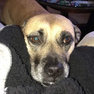 Meet your Posher, Sam